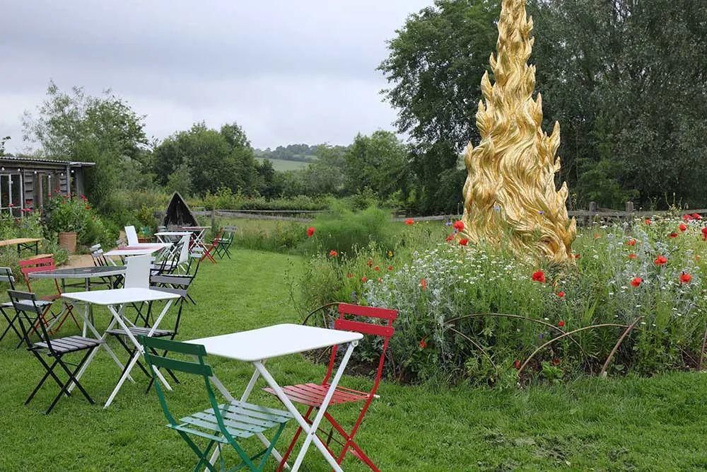  看完这个，想把家里花盆丢了