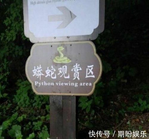 单词|“再也不想网购了迟早笑死在客服聊天里”哈哈哈哈