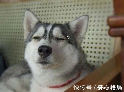 |我研究了近20年的泡妹教程 冷段子1404 & 去年今日1094