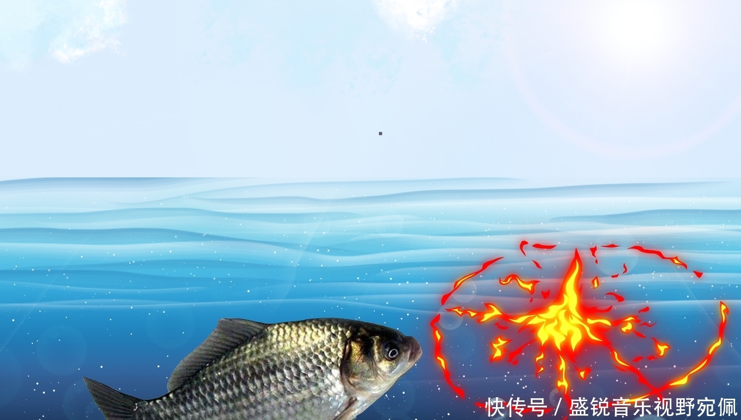 鲤鱼|鲫鱼、鲤鱼、青鱼和草鱼都喜欢什么味型？气味诱鱼的几个关键点