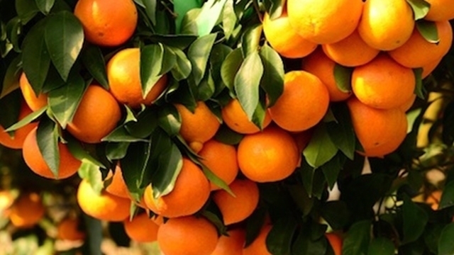 肝病|对肝脏好的零食,平常吃一吃,赶走肝病长命百岁!