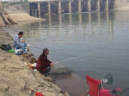 要想野钓渔获好,手勤腿勤屁股懒,一句话道尽野钓的精髓