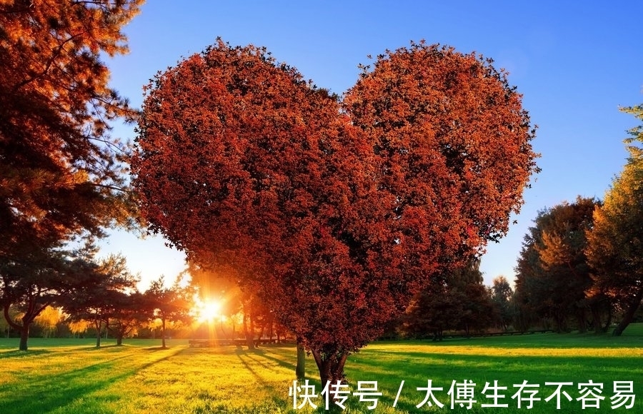 一辈子&孔子:人活一世不闻道,得寿八百也虚妄