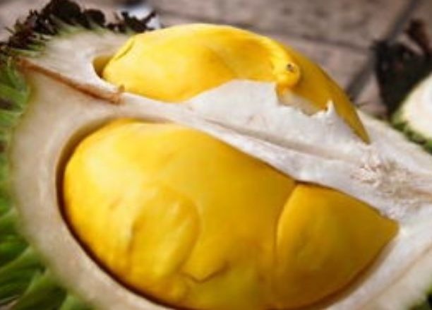 心脑血管|想要身体好,不妨多吃3种食物,美容养生,提高免疫力!