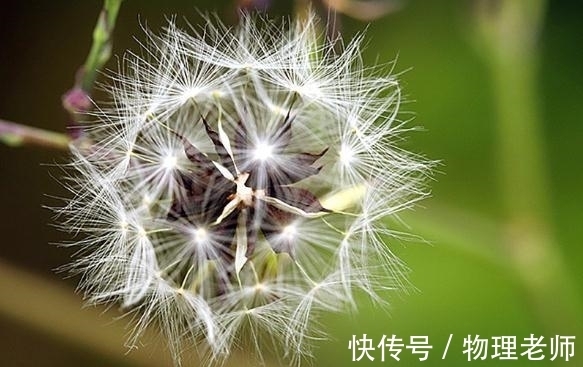 金牛座|9月，复合无期，看淡爱情，细雨落下，期待桃花的四大星座