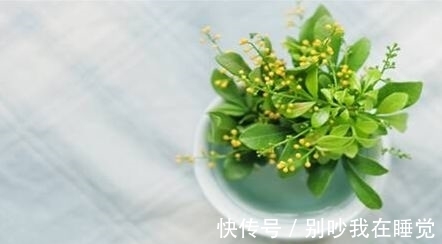 露薇|农历10月19小雪后，养什么花？以下3种花，时乃日新三阳开泰