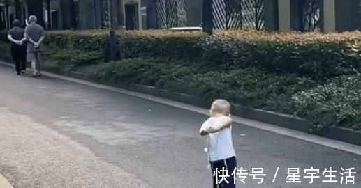 小手手|“老干部宝宝”出门溜达,背着手屁颠屁颠跟在后面,模仿到了精髓