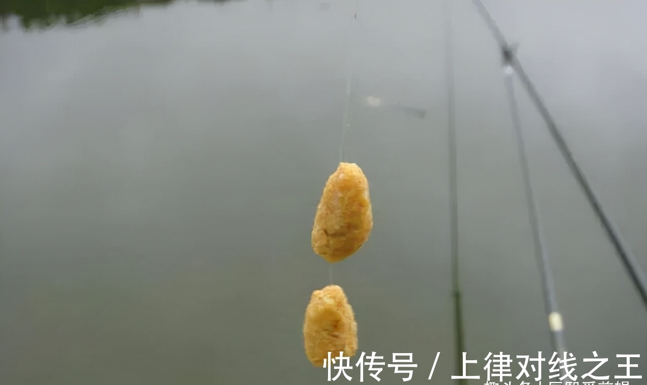 降温天鲫鱼怎么钓?掌握好这两点,大板鲫连竿不再难