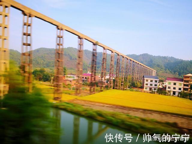 秋韵#【七绝·秋韵】清风伴我不孤行,晨起轩窗有鸟鸣