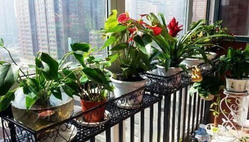 设计|你家阳台只用来晒衣服太浪费了,学学聪明人这样设计吧