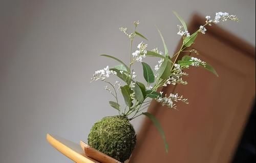 备好素材 轻松制作出美轮美奂的苔玉盆景 值得你拥有 快动手 粉紫色