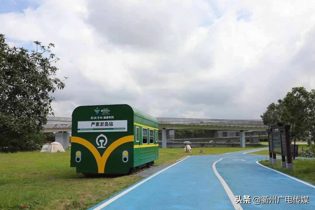 孔子花田|风车、花海、绿皮小火车……衢州这块家门口的网红打卡地宛若宫崎骏漫画！