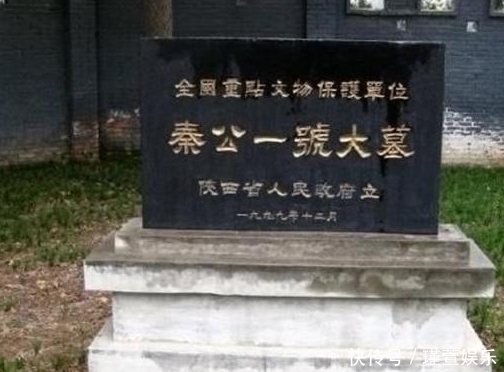 老农修猪圈意外挖出186具尸骸，检查后专家秦始皇祖坟找到了