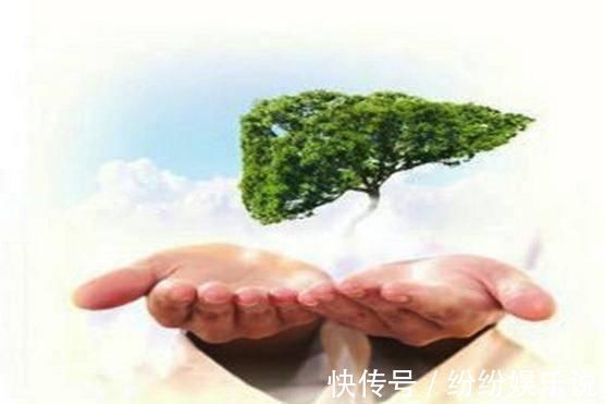 酒精肝|生殖系统发出的这3个信号,说明你的肝可能有问题了