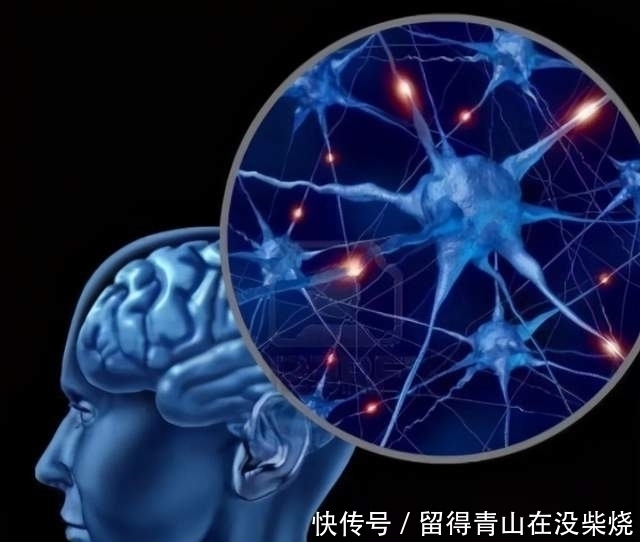 大脑|孩子突然“开窍”了是种什么体验？父母戏称：感觉像开了挂一样