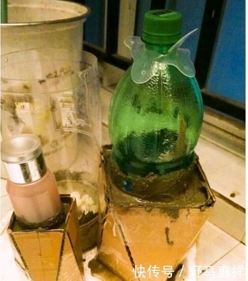 花友|花盆不用买,变废为宝做一个,比买的还好看,分分钟惊艳朋友圈