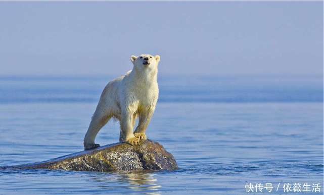 海底 究竟是怎么回事中国从3900米海底传回一组照片,给世界敲响警钟