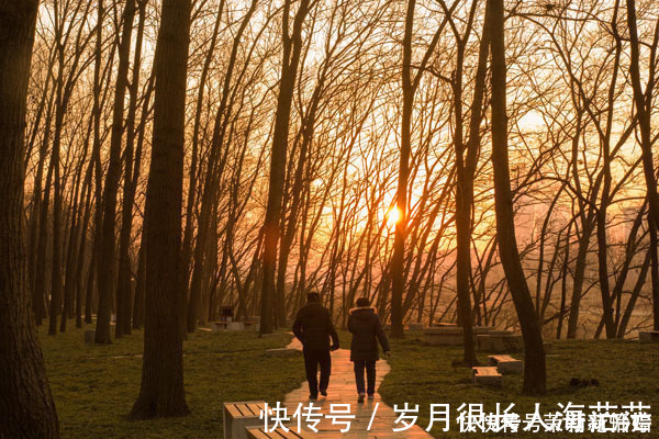 锻炼|60岁后,每天走路走多少步好这个范围,看看你是否达标