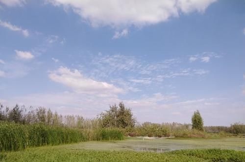 俎豆#考古重大发现,终于探明中华文明的历史源头与文化渊源