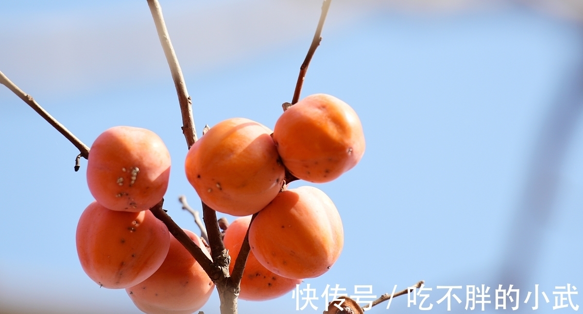 吟秋|打油诗《吟秋》一叶知秋落,人间又西风