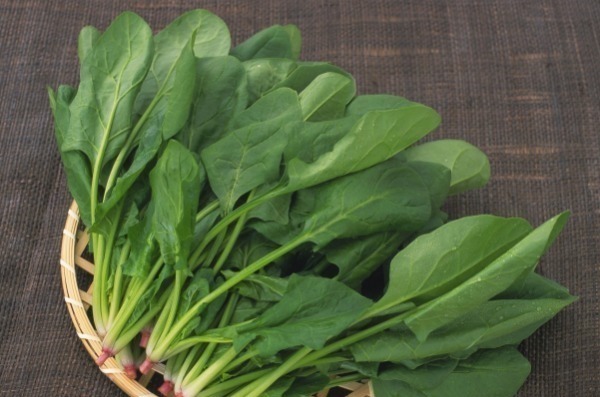 猕猴桃|“天然叶酸”被找到,孕妇经常吃,促进胎儿发育,只长胎不长肉!