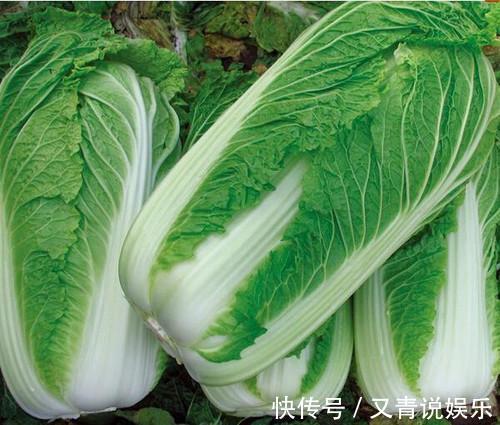 大白菜|炒白菜不能放此种东西，吃了就是自己找罪受，现在清楚还不晚