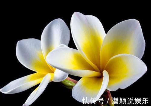 富贵|孩子生于这六天,一辈子不缺钱,享受富贵终生,人生更是顺风顺水