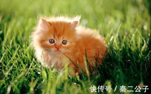 |幽默笑话:女同事自学做包子,屡试屡败,屡败屡试,愈挫愈勇