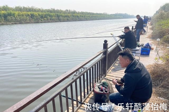 传统|深冬想要钓好鱼,千万别迷信台钓商品饵,传统虫饵才是王者!