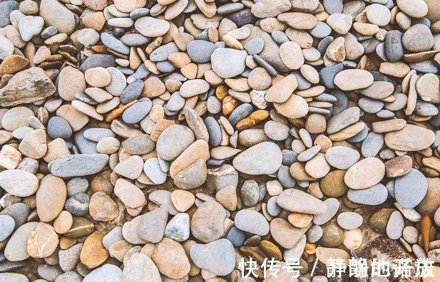 下联#千古绝对! 上联 四条癫狗一齐吠, 下联经典到爆!