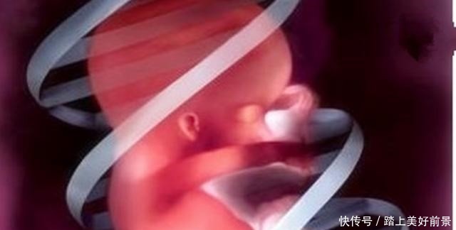 孕期|“母子连心”，孕妈翻身胎儿也跟着翻身吗答案并非是你想的那样