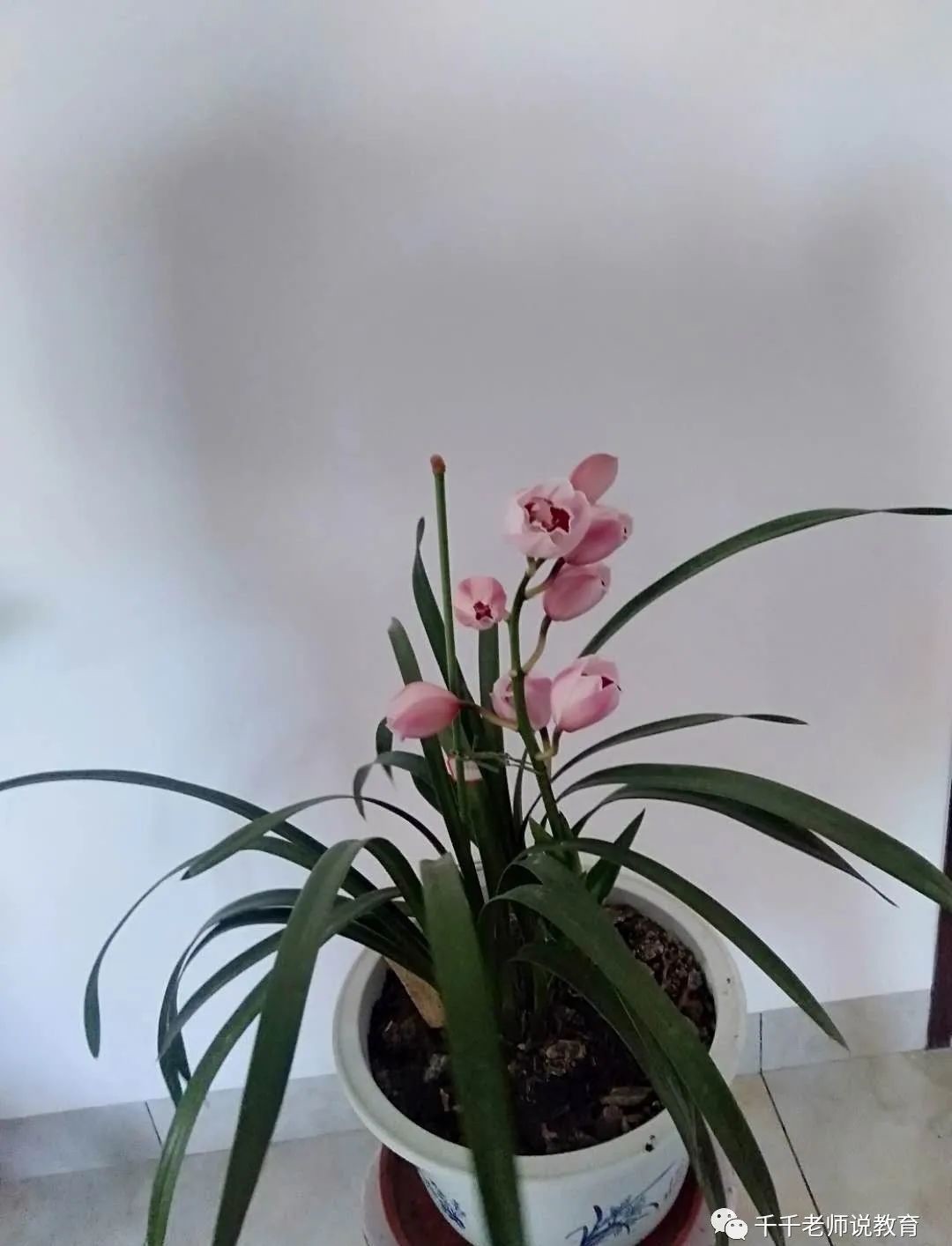 天道|从史记人物伯夷和叔齐看“天道是非”