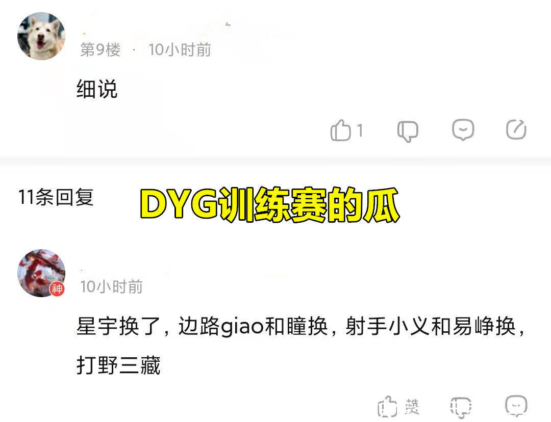 世冠|DYG的瓜来了，三藏打野，小义和易峥竞争射手，训练赛输给了XYG