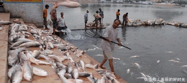 空气污染|我去了印度旅游,才知道他们的生活真的让人恶心