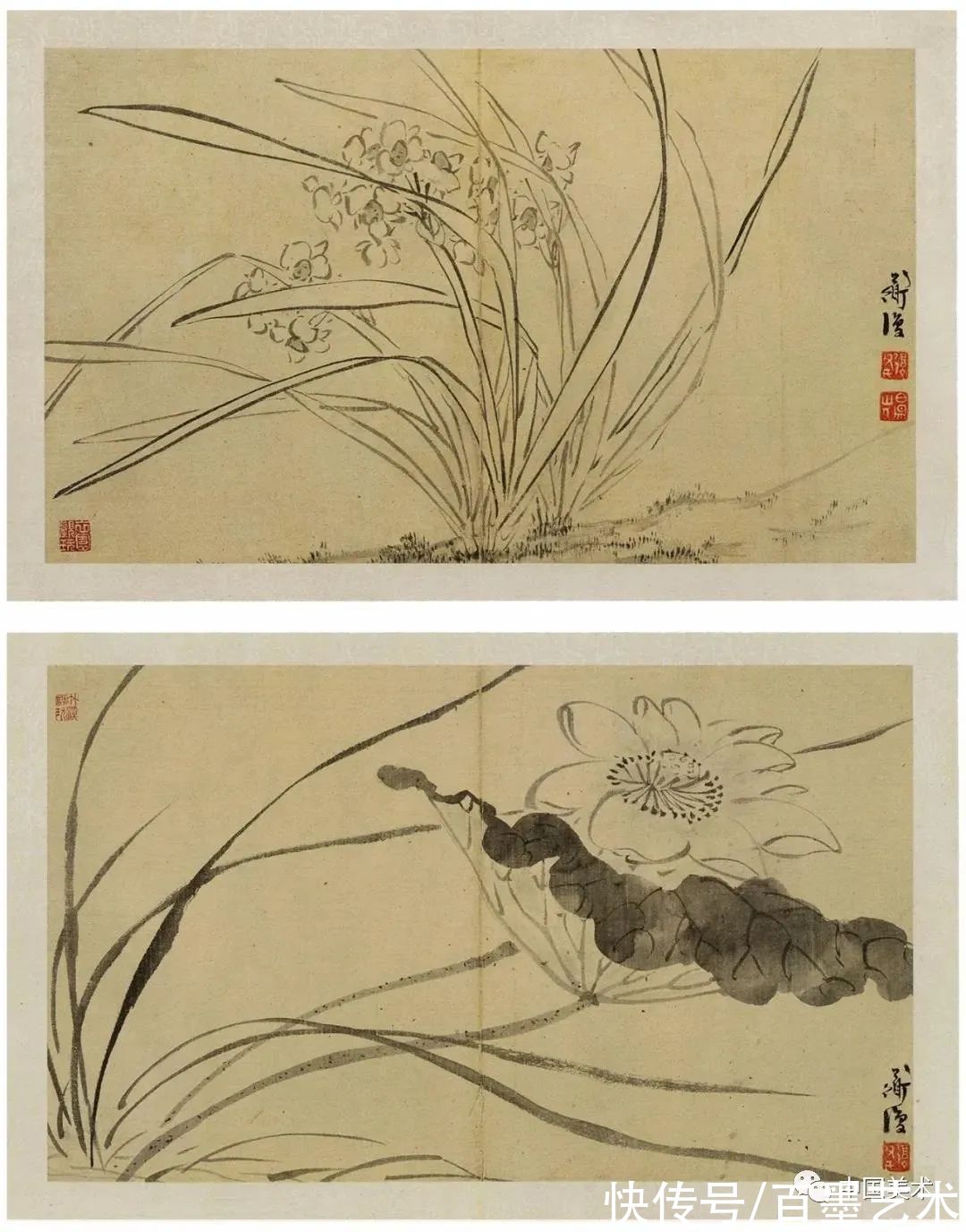 明朝@青藤白阳：明朝花鸟两大高峰