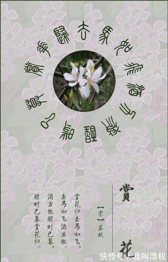 马如飞#一首词里写下9个“愁”，能让苏轼笑哭，远不及辛弃疾的一句吐槽