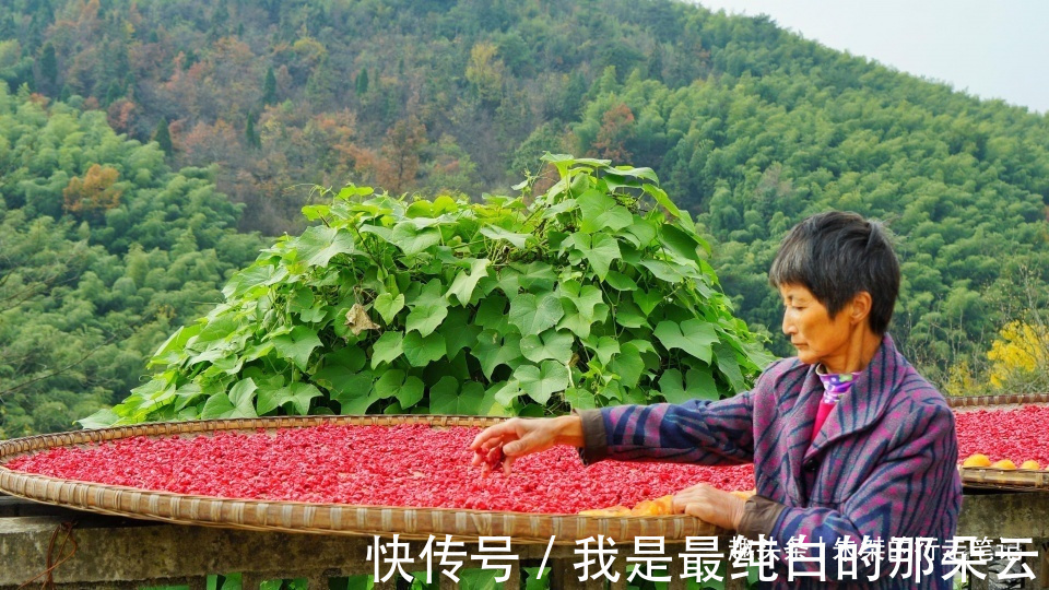 农俗|一座鲜为人知的皖南古村落，藏在崇山之中，秋景却美到让世界惊艳