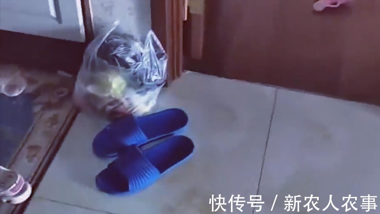 飙升|血压飙升!妈妈有事让爸爸带娃,一天后进门那刻崩溃:还是家吗?