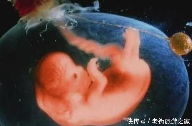 准妈妈|孕期做到“4不碰”,有利于保持羊水“清澈”,胎儿住着更干净