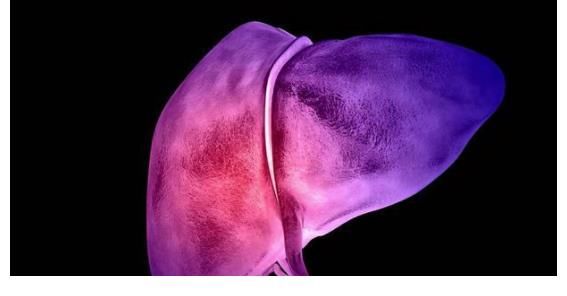 肝脏|肝科主任呼吁：停止食用“2素”，不想肝脏烂如网，再馋也要忍住