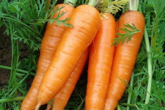 睡眠倍儿棒|胡萝卜和此物一起吃，视力好了，皱纹少了，睡眠倍儿棒，早知早好