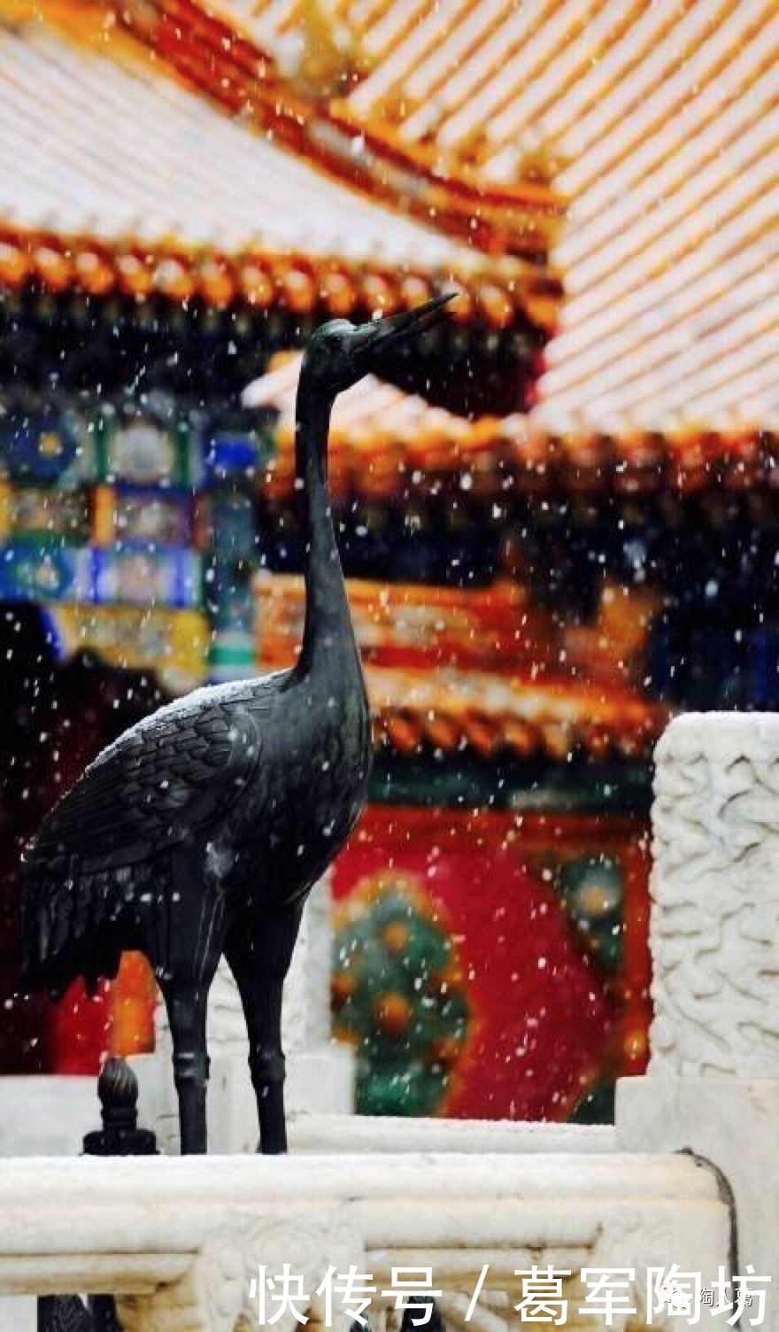 山河流霜 白羽倦飞|大雪 | 白羽