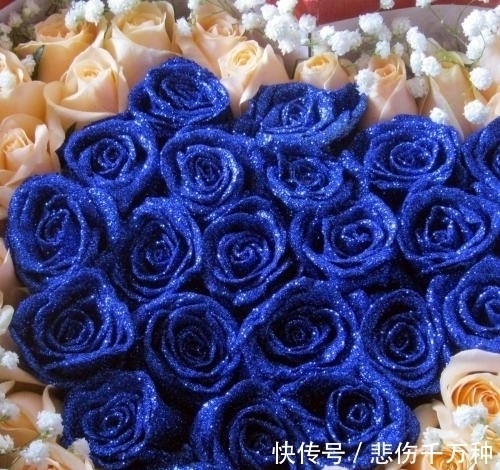 生属兔|这4大生肖将在下周被财神点名,财运滚滚,事业步步高升