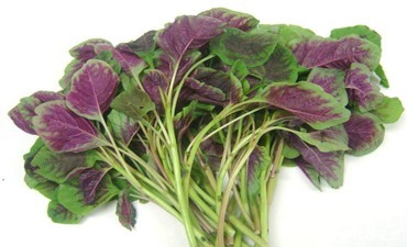 牛油果|人到50岁以后，要管着嘴，少吃这些蔬菜与水果，身体会感谢你