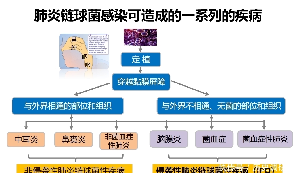 研究员姚开|儿童“头号杀手”！这个疫苗，比新冠疫苗更需要打