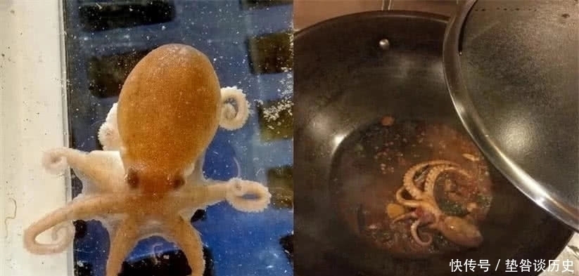 史上最“雷人”买家秀,心仪的耐克鞋忍了,可这AJ是什么鬼啊?