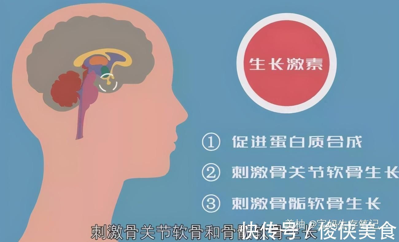 生长激素|宝宝在这2个“黄金时间”睡觉,不但大脑发育好,还容易个子高