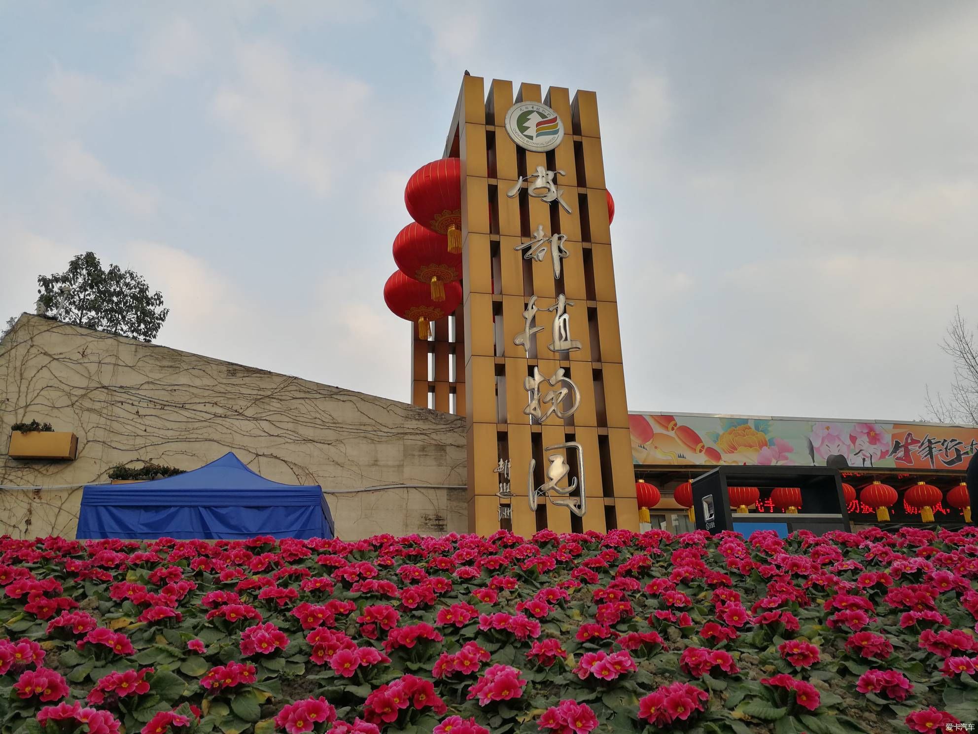 中年|大年初一的成都植物园