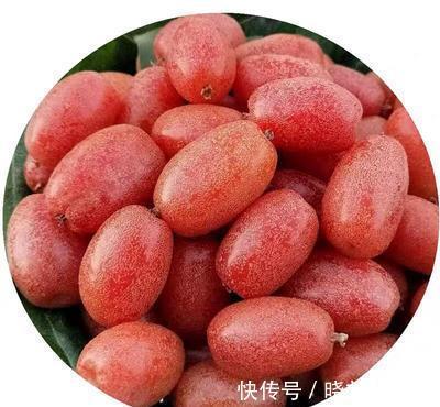 肠胃|对身体极好的食物，男女坚持吃，改善肠胃不适，肌肤细腻，吃了好