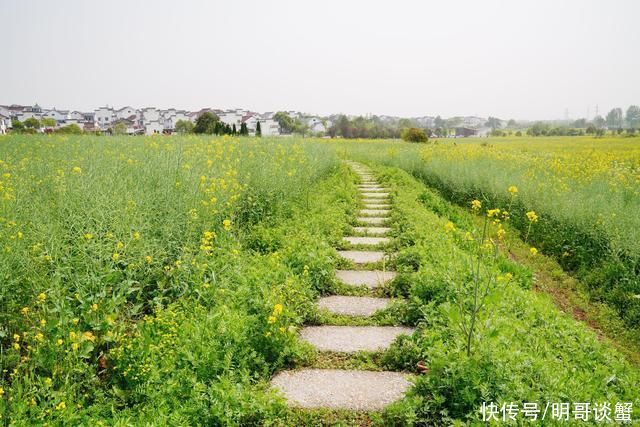 花山樵唱